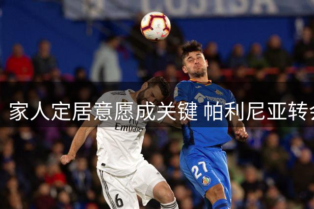 家人定居意愿成关键 帕利尼亚转会本菲卡概率大增